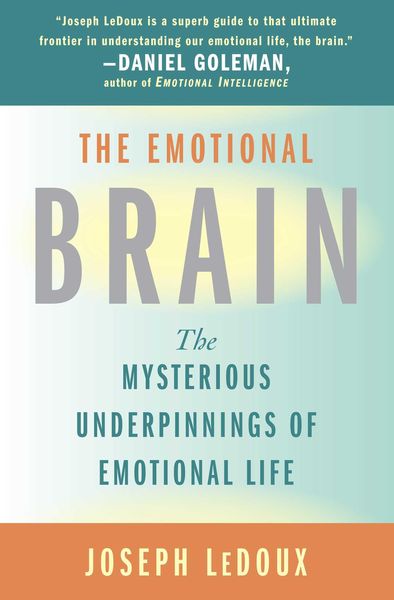 Produktbild: The Emotional Brain