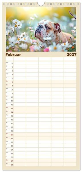 Produktbild: Familienplaner 2027 - Englische Bulldoggen im Bl&uuml;tenmeer mit 5 Spalten (Wandkalender, 21 x 45 cm) CALVENDO