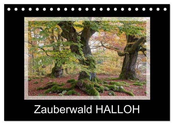 Produktbild: Zauberwald HALLOH (Tischkalender 2026 DIN A5 quer), CALVENDO Monatskalender