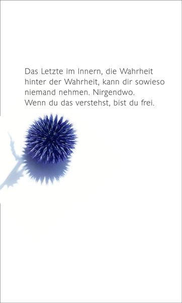 Produktbild: Museum der Einsamkeit