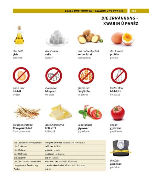 Produktbild: PONS Bildw&ouml;rterbuch Kurdisch