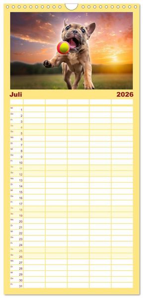 Produktbild: Familienplaner 2026 - Bullys in Action - Franz&ouml;sische Bulldoggen lieben B&auml;lle mit 5 Spalten (Wandkalender, 21 x 45 cm) CALVENDO