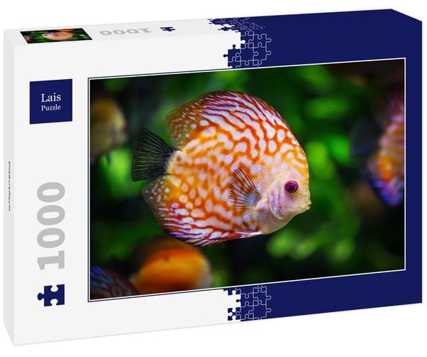 Lais Puzzle Diskusfisch 1000 Teile