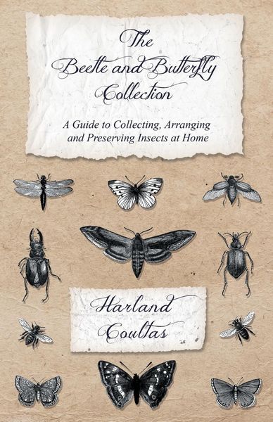 Produktbild: The Beetle and Butterfly Collection - A Guide to Collecting, Arranging and Preserving Insects at Home