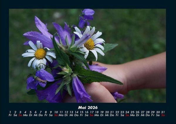 Produktbild: Pflanzen und Bl&uuml;ten 2026 Fotokalender DIN A4