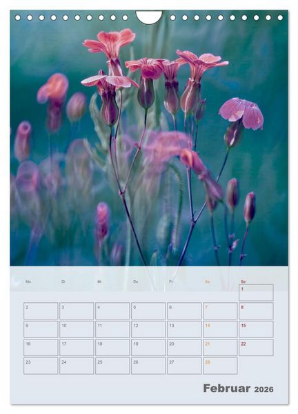 Produktbild: Magie im Garten (Wandkalender 2026 DIN A4 hoch), CALVENDO Monatskalender