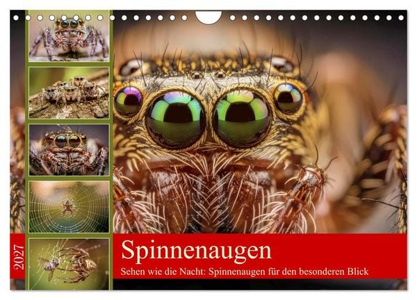 Produktbild: Spinnenaugen (Wandkalender 2027 DIN A4 quer), CALVENDO Monatskalender