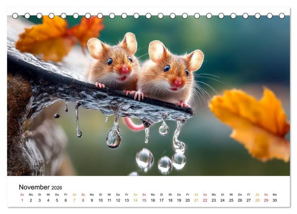 Produktbild: Regen? Na und! M&auml;use (Tischkalender 2026 DIN A5 quer), CALVENDO Monatskalender