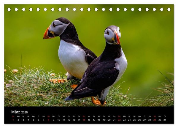 Produktbild: Schottlands Inseln (Tischkalender 2026 DIN A5 quer), CALVENDO Monatskalender
