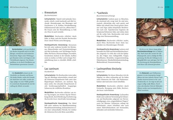 Produktbild: Hom&ouml;opathie - Das gro&szlig;e Handbuch