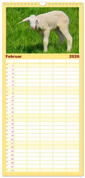 Produktbild: Familienplaner 2026 - Nachwuchs in der Tierwelt mit 5 Spalten (Wandkalender, 21 x 45 cm) CALVENDO