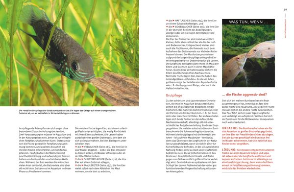 Praxishandbuch Aquarium
