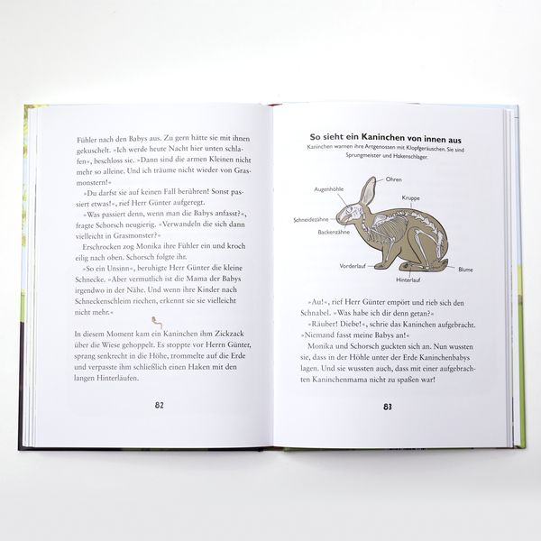 Produktbild: Die kleine Schnecke Monika Häuschen 2: Warum pupsen Schnecken?