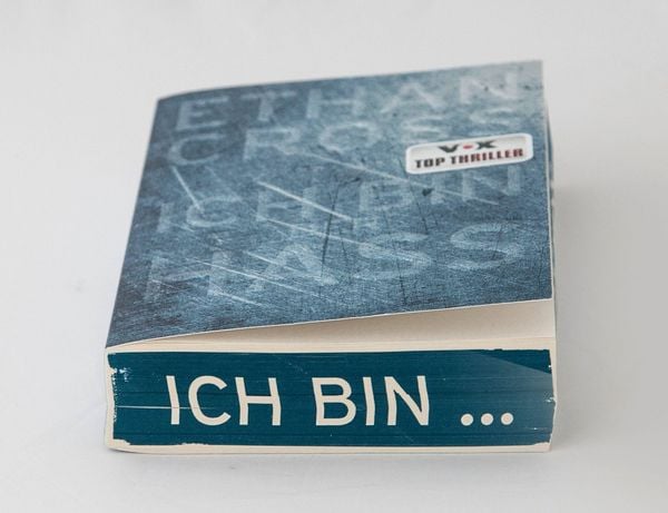 Produktbild: Ich bin der Hass / Francis Ackerman junior Band 5