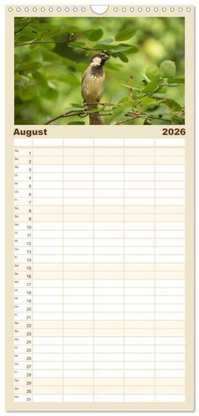 Produktbild: Familienplaner 2026 - Spatzen mit 5 Spalten (Wandkalender, 21 x 45 cm) CALVENDO