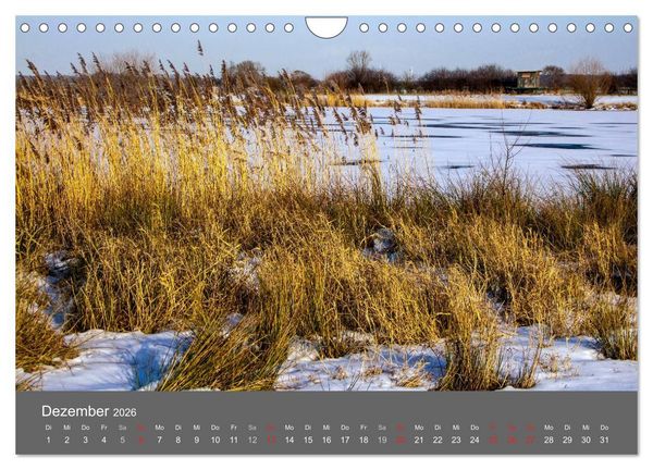 Produktbild: Moor- und Heidelandschaften Niedersachsen (Wandkalender 2026 DIN A4 quer), CALVENDO Monatskalender
