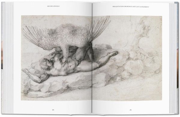Produktbild: Michelangelo. The Complete Paintings, Sculptures and Arch.