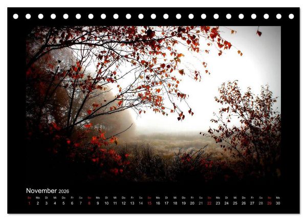Produktbild: Landschaft Teufelsmoor / 2026 (Tischkalender 2026 DIN A5 quer), CALVENDO Monatskalender