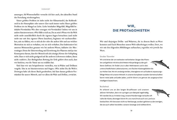 Produktbild: Wir Wale