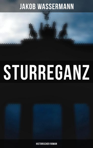 Produktbild: Sturreganz: Historischer Roman