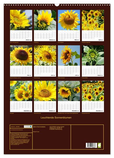 Produktbild: Leuchtende Sonnenblumen (Wandkalender 2026 DIN A2 hoch), CALVENDO Monatskalender