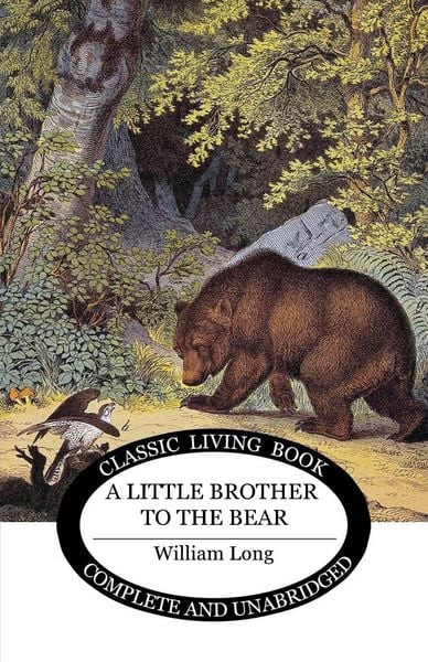 Produktbild: Little Brother to the Bear