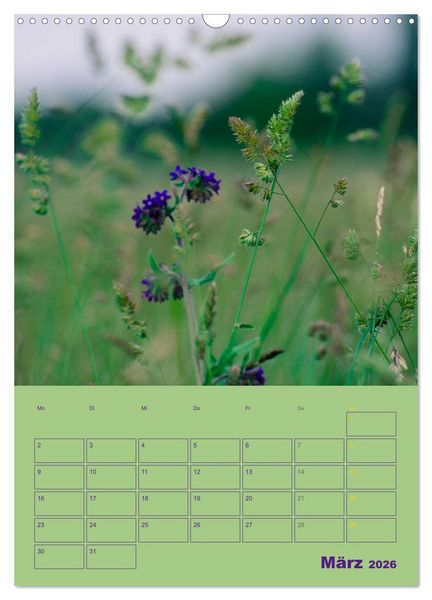 Produktbild: Wald- und Wiesenkalender 2026 Planer (Wandkalender 2026 DIN A3 hoch), CALVENDO Monatskalender