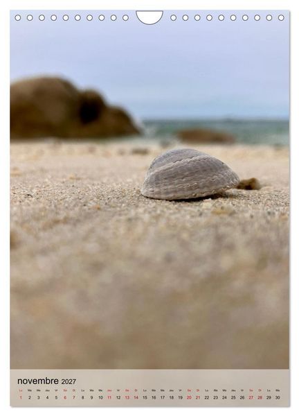 Produktbild: Plages et coquillages (Calendrier mural 2027 DIN A4 horizontal), CALVENDO calendrier mensuel