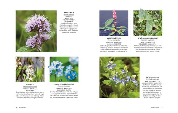 Produktbild: Leben am Gartenteich