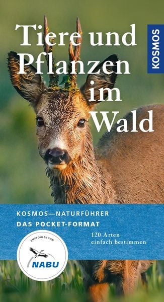 Produktbild: Tiere und Pflanzen unserer W&auml;lder