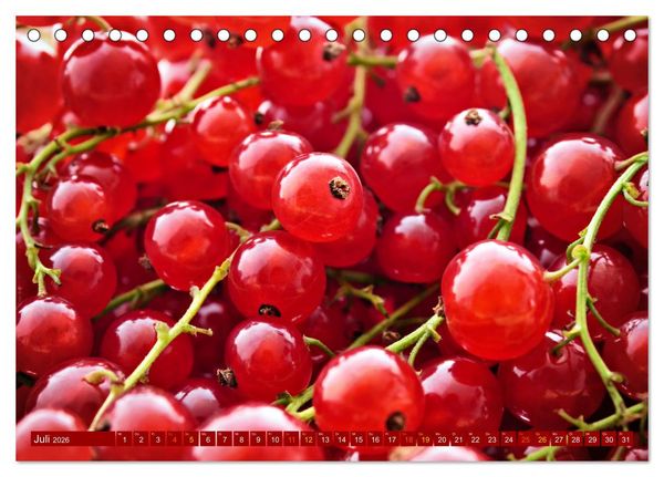Produktbild: ROT - Gem&uuml;se und Obst - Voller Power (Tischkalender 2026 DIN A5 quer), CALVENDO Monatskalender