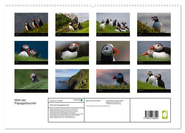 Produktbild: Welt der Papageitaucher (hochwertiger Premium Wandkalender 2026 DIN A2 quer), Kunstdruck in Hochglanz