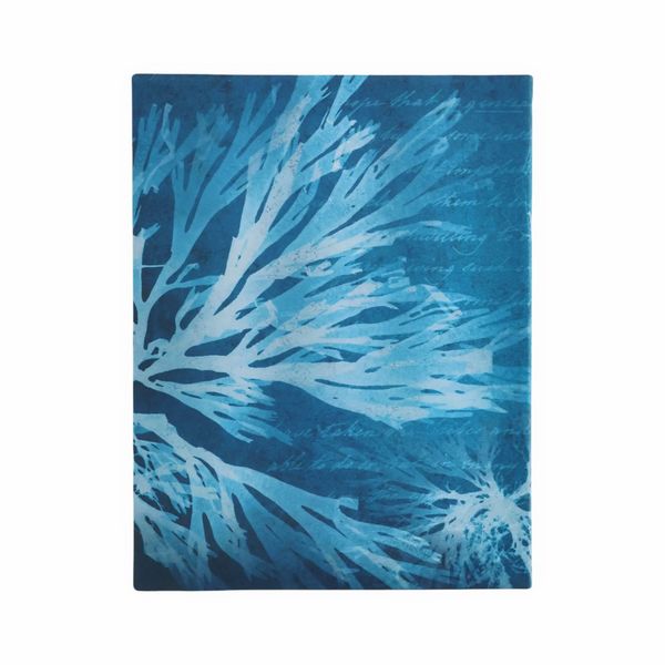 Produktbild: Notizbuch, Meeresblumen, Ultra, Liniert