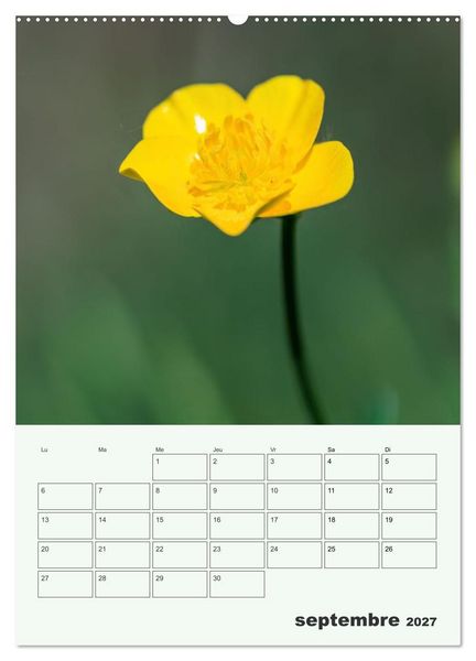 Produktbild: Fleurs en toute simplicit&eacute; - Beaut&eacute; minimaliste (Calendrier mural haut de gamme 2027 DIN A2 horizontal), CALVENDO calendrier mensuel