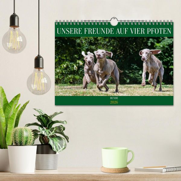 Produktbild: Unsere Freunde auf vier Pfoten - Hunde (Wandkalender 2026 DIN A4 quer), CALVENDO Monatskalender