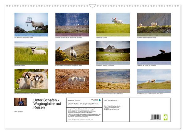 Produktbild: Unter Schafen - Wegbegleiter auf Reisen (Wandkalender 2026 DIN A2 quer), CALVENDO Monatskalender