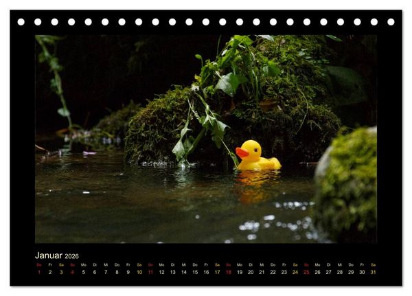 Produktbild: Enten-Rennen (Tischkalender 2026 DIN A5 quer), CALVENDO Monatskalender