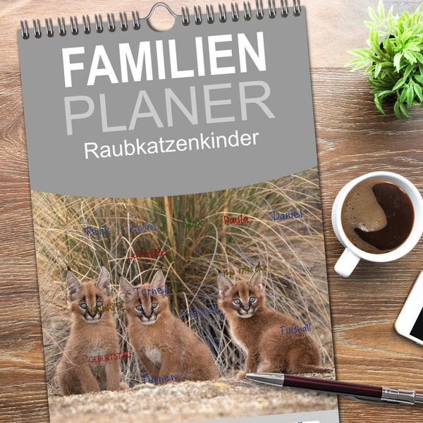 Produktbild: Familienplaner 2026 - Raubkatzenkinder mit 5 Spalten (Wandkalender, 21 x 45 cm) CALVENDO
