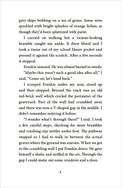 Produktbild: The Magpie Riddle: a Goldfish Boy Mystery