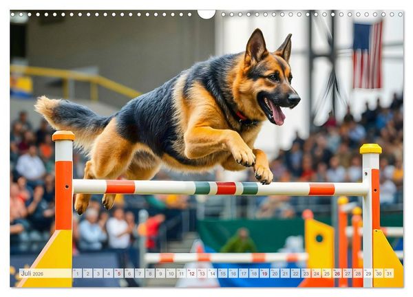 Produktbild: Sch&auml;ferhund 24/7 - Keine Pause f&uuml;r echte Helden (Wandkalender 2026 DIN A3 quer), CALVENDO Monatskalender