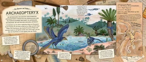 Produktbild: Fossilien &ndash; Sch&auml;tze von Ammoniten bis zum T. Rex