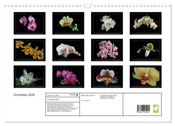 Produktbild: Orchideen 2026 (Wandkalender 2026 DIN A3 quer), CALVENDO Monatskalender