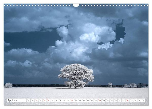 Produktbild: Zauberhafte Infrarot-Fotografie (Wandkalender 2026 DIN A3 quer), CALVENDO Monatskalender