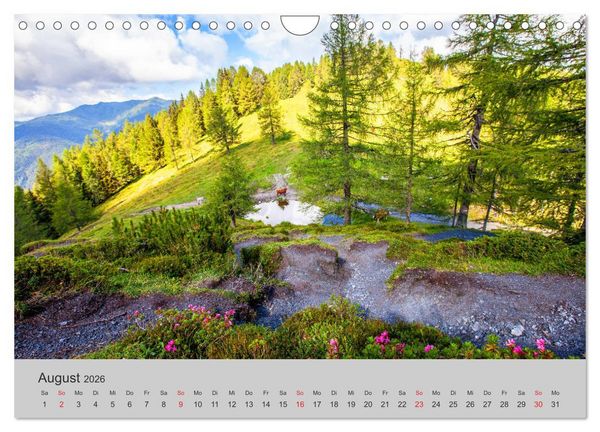 Produktbild: Komm, ich zeige dir den Wald (Wandkalender 2026 DIN A4 quer), CALVENDO Monatskalender