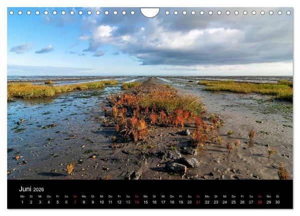 Produktbild: Sylt - Bilder einer Insel (Wandkalender 2026 DIN A4 quer), CALVENDO Monatskalender