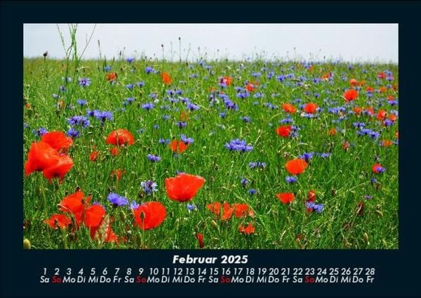 Produktbild: Blumentr&auml;ume 2025 Fotokalender DIN A5
