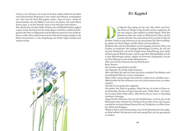 Produktbild: Limitierte Sonderausgabe: Stolz und Vorurteil
