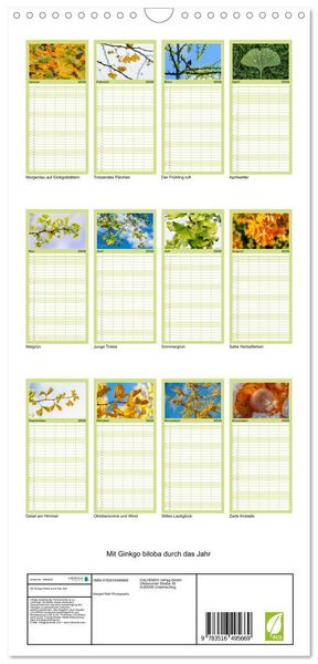 Produktbild: Familienplaner 2026 - Mit Ginkgo biloba durch das Jahr mit 5 Spalten (Wandkalender, 21 x 45 cm) CALVENDO