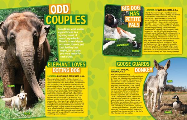 Produktbild: National Geographic Kids 125 True Stories of Amazing Animal Friendships