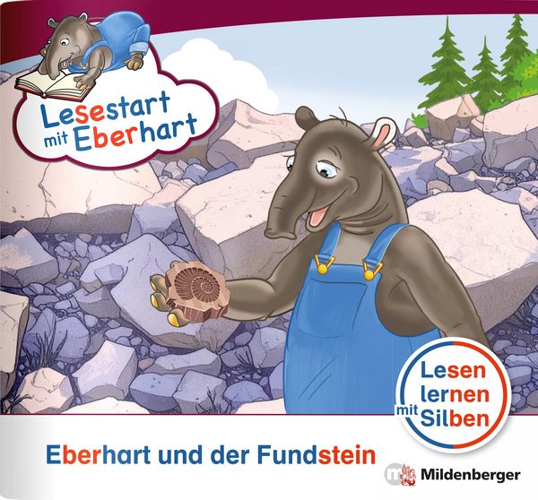 Produktbild: Lesestart mit Eberhart: Eberhart und der Fundstein